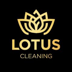 LOTUS Cleaning termékek